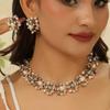 Exaggerated Bride Gray And White Pearl Fashion Necklace Earring Set Suitable For Wedding Dating Party Gifts Lght Luxury