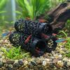 Hollow Out Fish Shrimp Hideout Shelter 3D Printed Betta Hideaway House  Fish Tank Ornaments