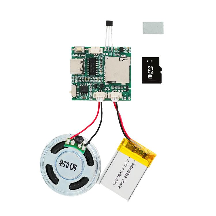 Programmable Sound Recorder Module MP3 Music