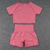 Seamless Women's Yoga and Fitness Two-Piece Set: Short Sleeve Top and Shorts