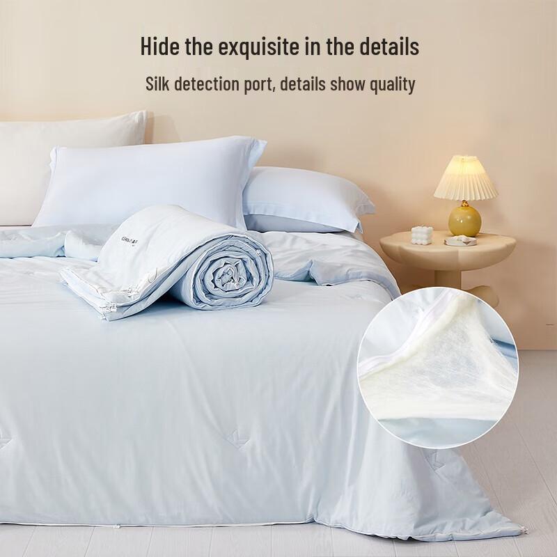 

Mercury Home Textiles A+Pro Tussah Silk Winter Quilt, 150x210cm