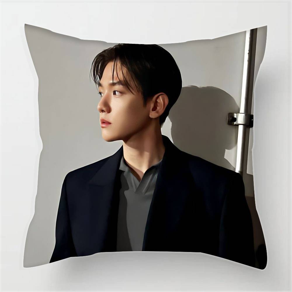 Pillowcases cushion covers living room sofas home decor gifts Singer B-AEK Cool H-hYUN Korea 12x12Inch