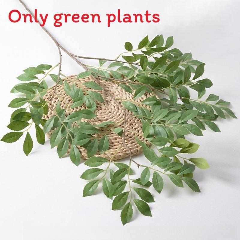 Liebm Deliciosa Monstera And Eucalyptus Citriodora Hook Green Decor Plants