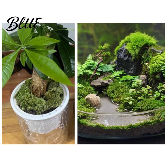 Long-lasting Artificial Moss Centerpieces Fish Fairy Gardens DIY Crafts 100/150/200/500/1000G Green Table Fake Tank Microlandscape