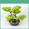 Home Decor Artificial Pine Tree With Plastic Material For Living Room And Office Display