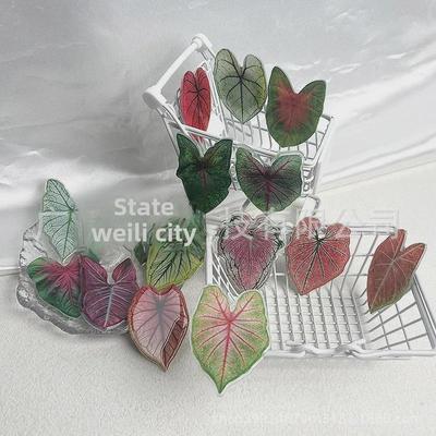 Imán de Nevera de Acrílico con Hoja Tropical - Decoración Creativa para el Hogar