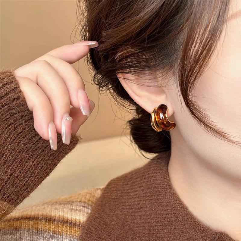 Retro autumn and winter coffee earrings women's niche design high-end stud earrings temperament versatile commuting fashionable earrings