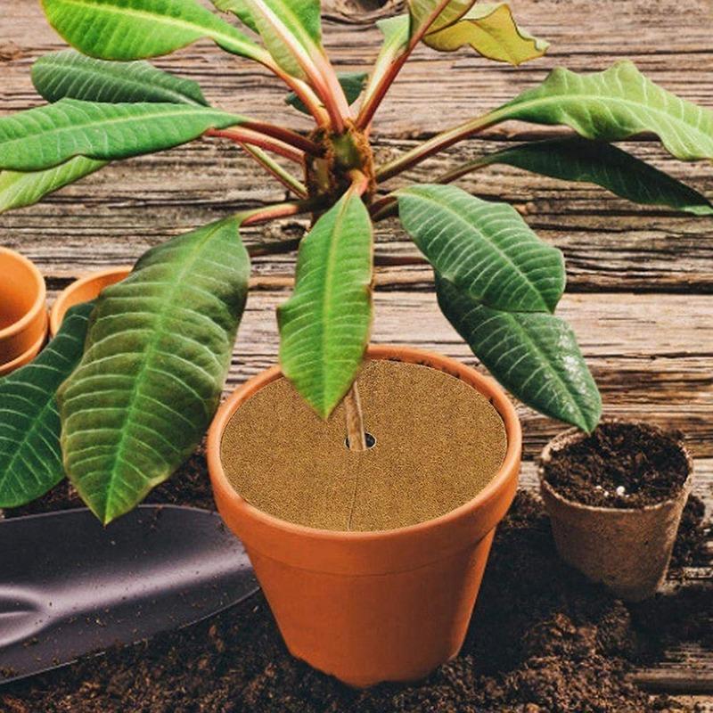 Coconut Liner Sheet Plant Fiber Roll Natural Carpet Mat Reptile Bedding Supplies Winter Insulation Flowerpot Basket Supply