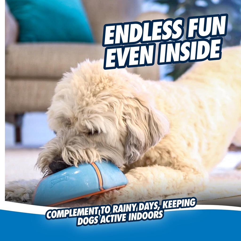 Chuckit! Indoor Super Slider Dog Toy, Indoor Toy, 50993D (Authentic Product)