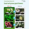 Organic Universal Soil for Flowers, Vegetables, Succulents & Bonsai; Nutrient-Rich Planting & Fertilized Flower Soil