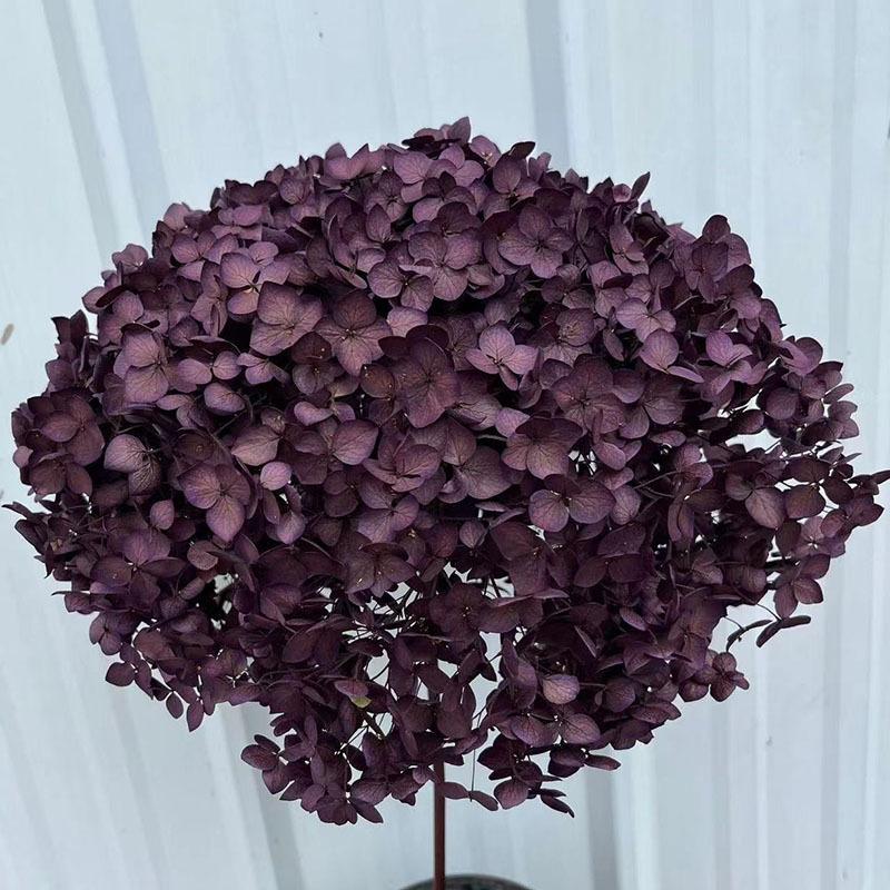 

Anna Hydrangea Immortal Flower Bouquet, Color-Absorbing Hydrangea Single Branch Home Decoration Floral Soft Dried Flowers фіолетовий
