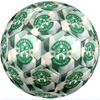 Hibernian FC 5 dydžio standartinis futbolo kamuolys, patvarus treniruočių ir varžybų kamuolys suaugusiųjų lauko sportui