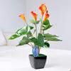 Bird Style Auto Drip Irrigation Plant Flower Nursing Watering Kits  Waterer Water Dropper Watering Sprinklers
