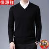 Men's V-Neck Pure Wool Sweater