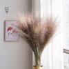 High-End Wabi-Sabi Dried Flower Decor: Natural Reeds & Wheat for Living Room or Homestay.