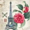 Pittura Diamante 5D Fai da Te Torre Eiffel Ricamo Diamante Fiore Punto Croce Trapano Tondo Quadrato Completo Artigianato Manuale Decorazione Casa Regalo
