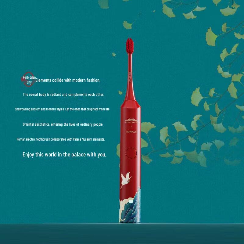 ROAMAN G10 Electric Toothbrush CN Plug (adapter Included)