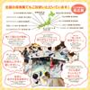 Baby mat in safety supervised by nursery Baby play mat for safe pattern bear x [Made Japan, tested, teachers] fungoo® babies, foldable, soundproof,