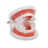 Dental Soft Silicone Bite Blocks Mouth Prop Opener Retractor for Dentist Intraoral Support Dentistry Material
