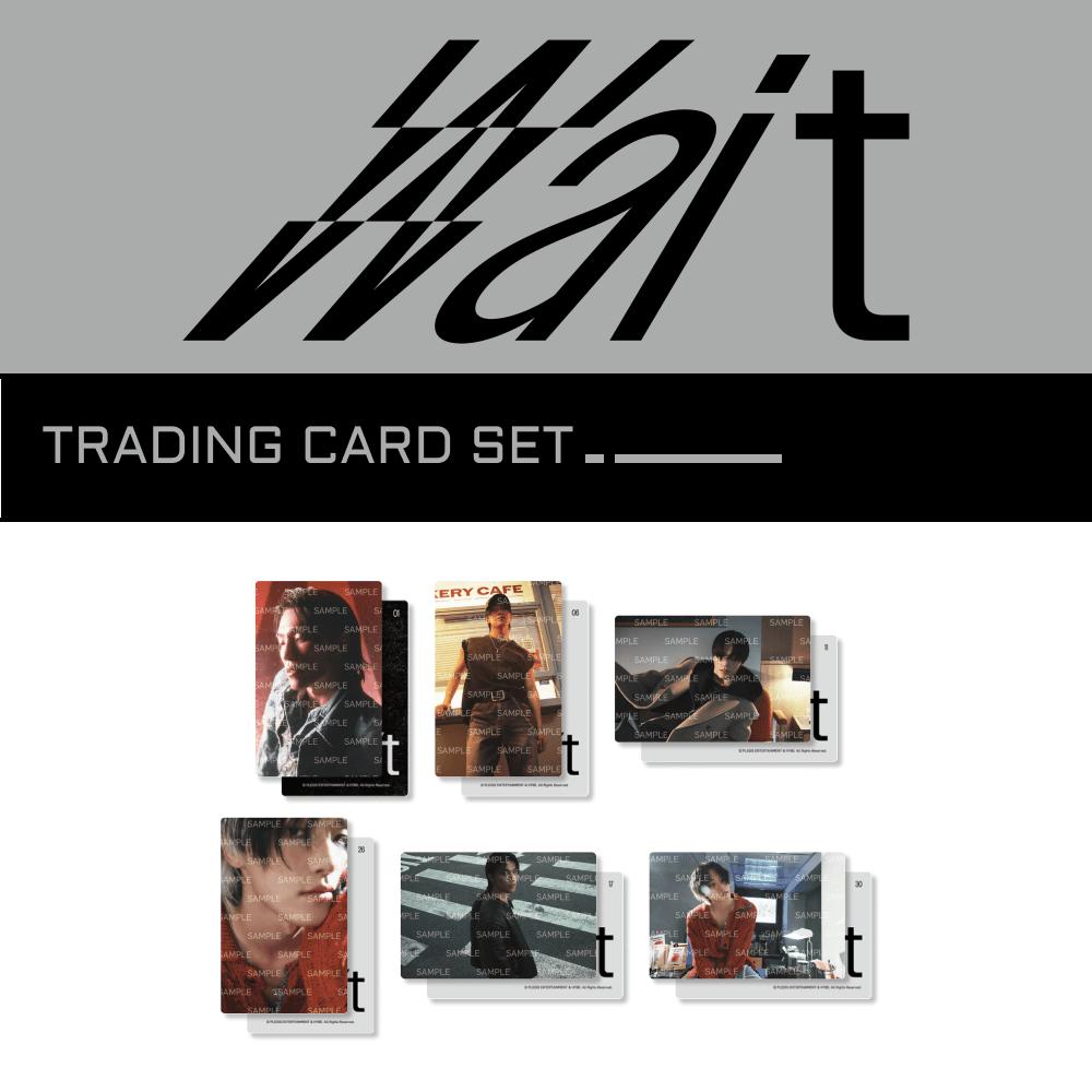 

Предзаказ Набор коллекционных карточек SEVENTEEN DINO Wait