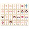 Early Learning Cards for Kids, Body Parts Theme, 15 Educational Cards with 28 Words