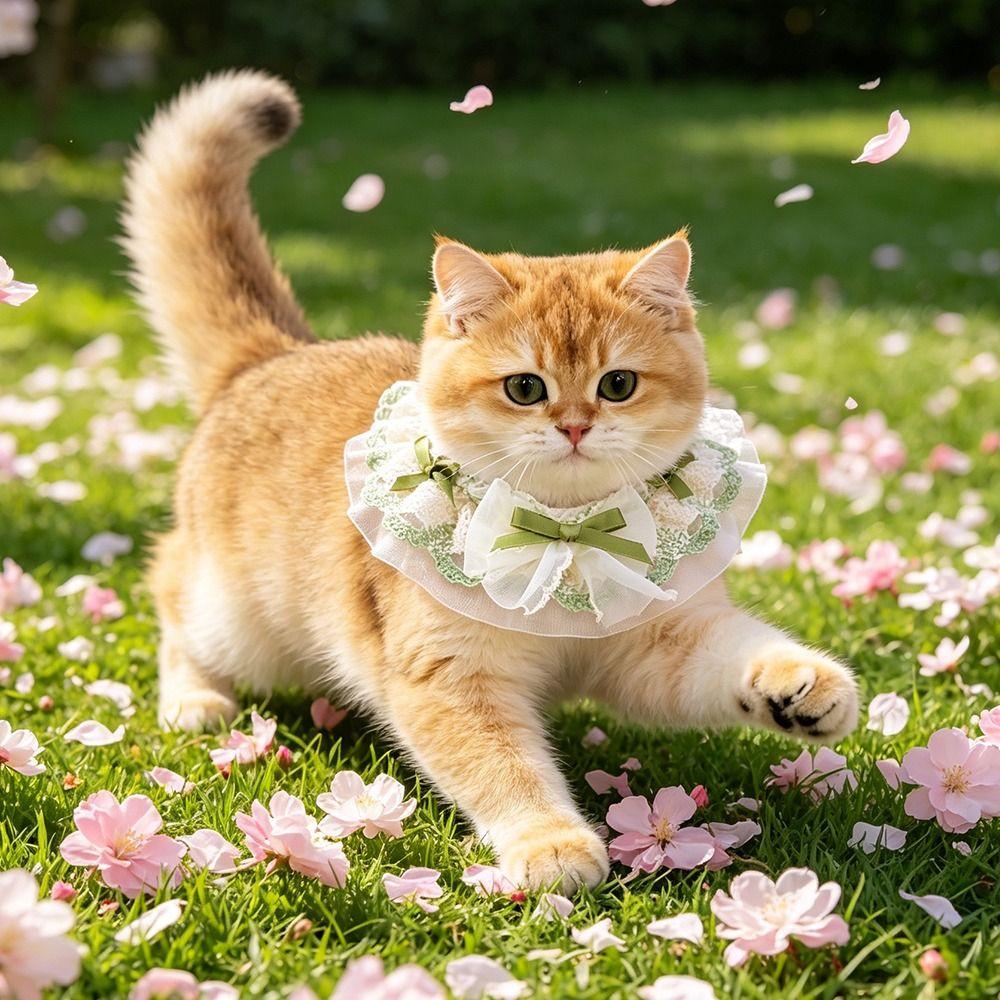 Cute Spring Summer Pet Water Scarf Princess Bowknot Small Dog Scarf Breathable Lace Trim Cat Scarf for Small Dog