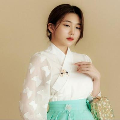 Fusion Oberteil mit Schmetterlings-Jeogori mit speziellem traditionellen Hanbok-Design