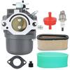 LMT 5-4993 Carburetor for Briggs Stratton 799728 498027 28B702 28B707 28R707