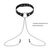 Elegant Choker with Nipple Clamps: Adult Training & Flirting Toy for Couples