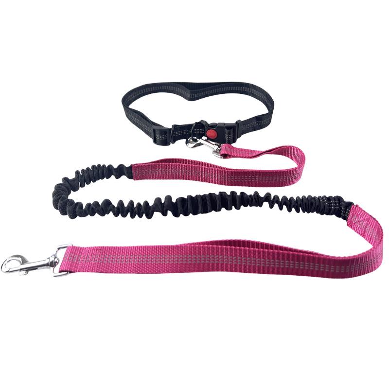 Retractable Portable Running Dog Leash