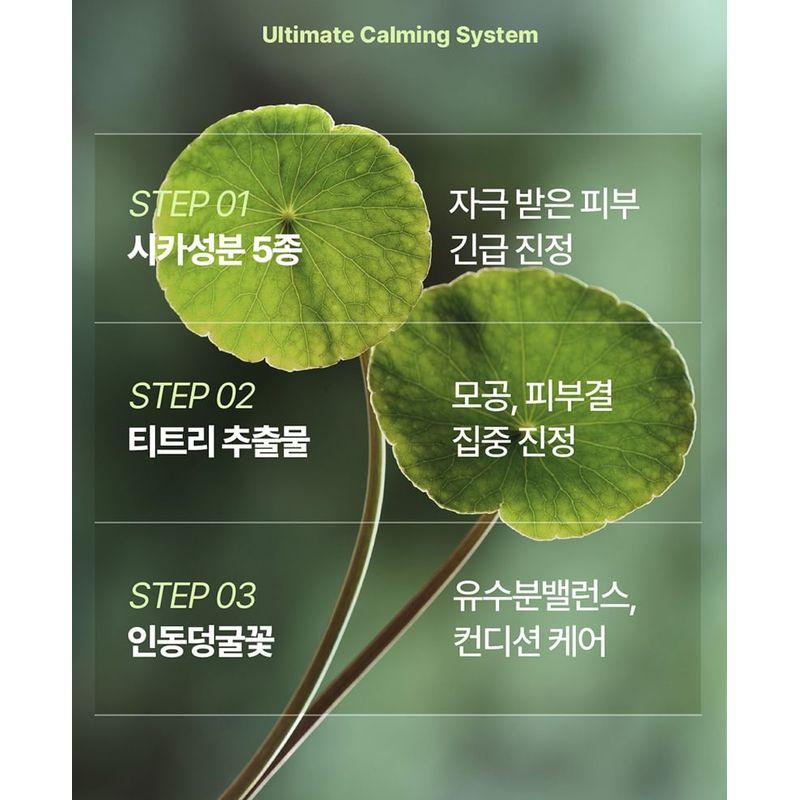 Pyunkang Yul Ultimate Calming Solution Ampoule Bundle Set