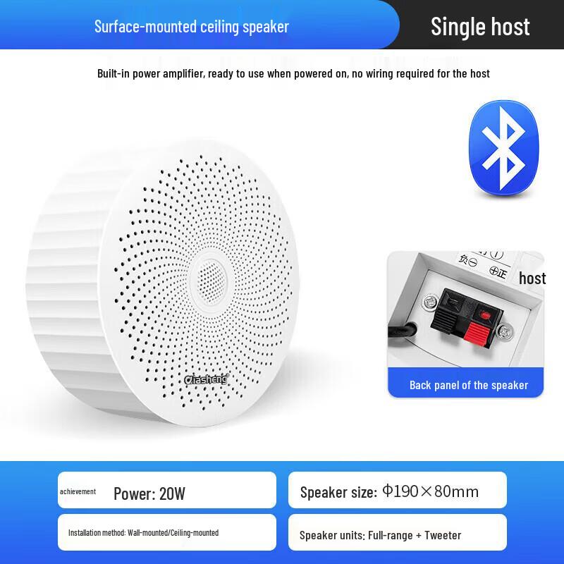 QIASHENG Bezdrátový Bluetooth stropní reproduktor CN zástrčka (adaptér součástí dodávky) (CN verze)