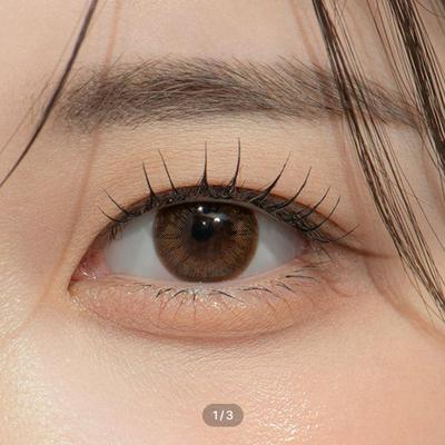 O2O2 Color One Day Sepia Choco 30P