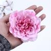 5 Stück 10CM Große Künstliche Pfingstrose Blume Hohe Qualität Seidenrose Für Hochzeitsparty Heimdekoration DIY Kranz Geschenk Clipart Blume