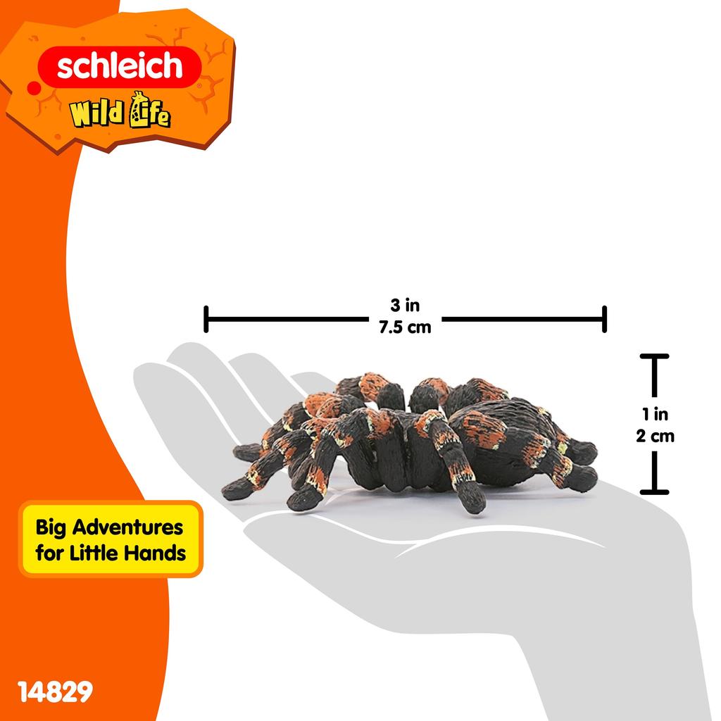 Schleich Wildlife Tarantula Ages Realistic Animal Toy 14829 Figurine, 3+,