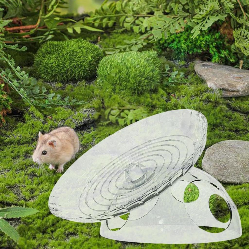 Hamster Exercise Wheel, Pet Supplies, Hamster Educational Toy, Silent Running Wheel, Cage Accessory, Suitable For Gerbils, Small Animals, And Mice