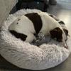 Super Soft Dog Bed Plush Cat Mat Dog Beds Round Cushion Pet Product Accessories Washable Dog and Cat Cushion Bed Winter Warm Sofa Hot Sell
