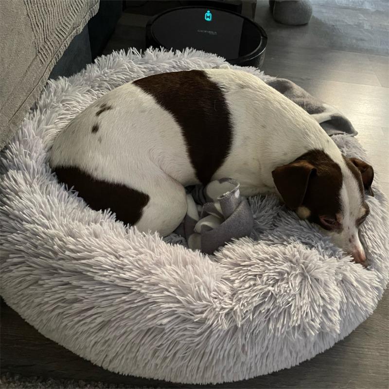 Super Soft Dog Bed Plush Cat Mat Dog Beds Round Cushion Pet Product Accessories Washable Dog and Cat Cushion Bed Winter Warm Sofa Hot Sell
