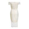 European & American Lace Bodycon Dress - Petite, Sexy, Hot Style
