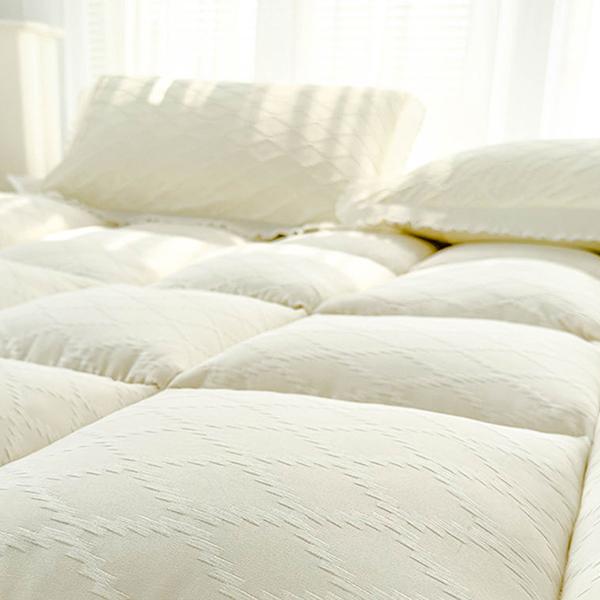 WTEMPO Solid Color Foldable High Quality Soft Mattress School Dormitory Mattress Winter Thickened Plush Bedroom Bed Sheet Tatami Plush Pads