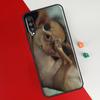 Chihuahua Dog Cover For Huawei P30 Pro P50 P20 P40 Lite P Smart 2021 Nova 5T Case For Honor 50 8X 10i