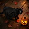 Comfortable Pet Halloween Suit Black Bat Cat Masque And Cloak Costume, Funny Wings Cape Outfits, Cute Puppy Dress Up Accessory for Cosplay,