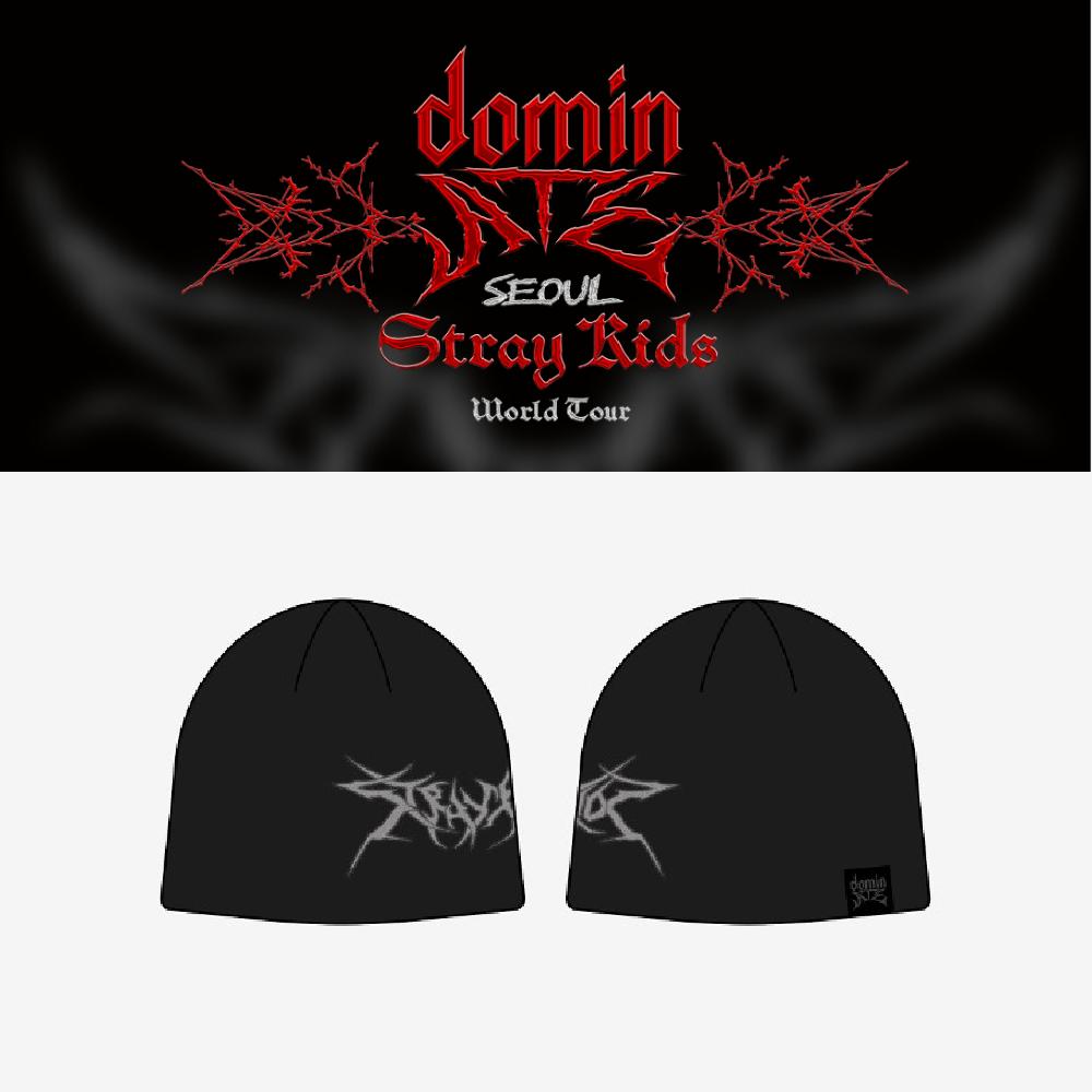 

Предварительный заказ Stray Kids dominATE SEOUL Beanie