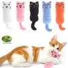 Cat Toy Cute Pet Catnip Toys Cat Plush Thumb Pillow Pet Supplies