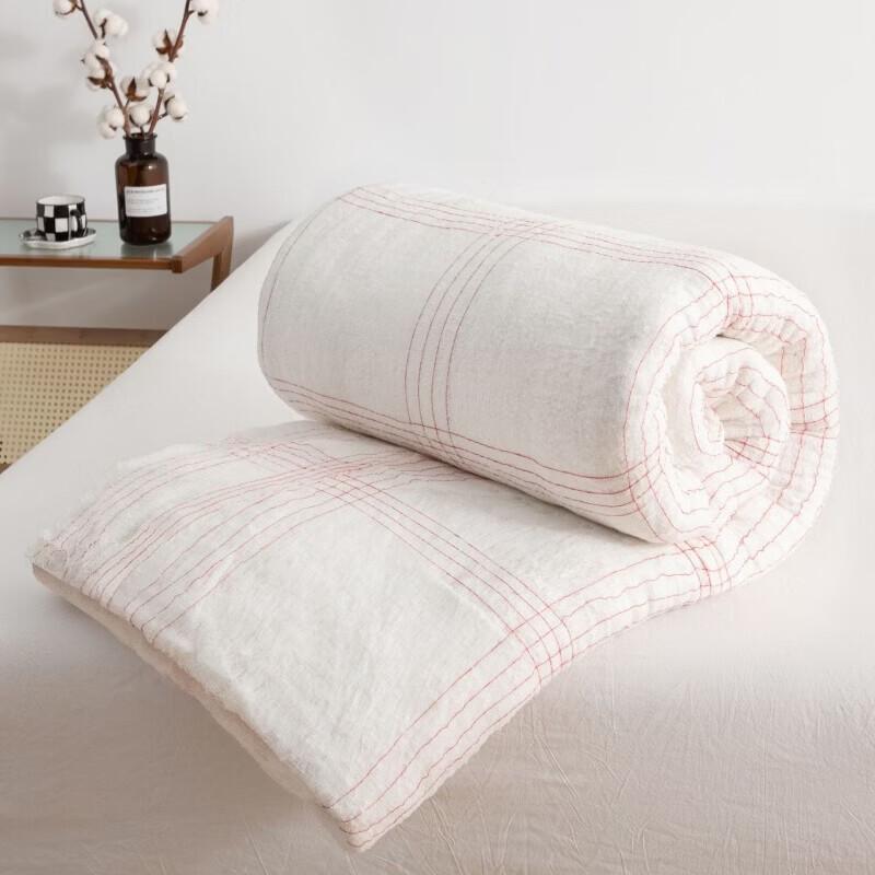 Thickened Polyester Quilt Insert