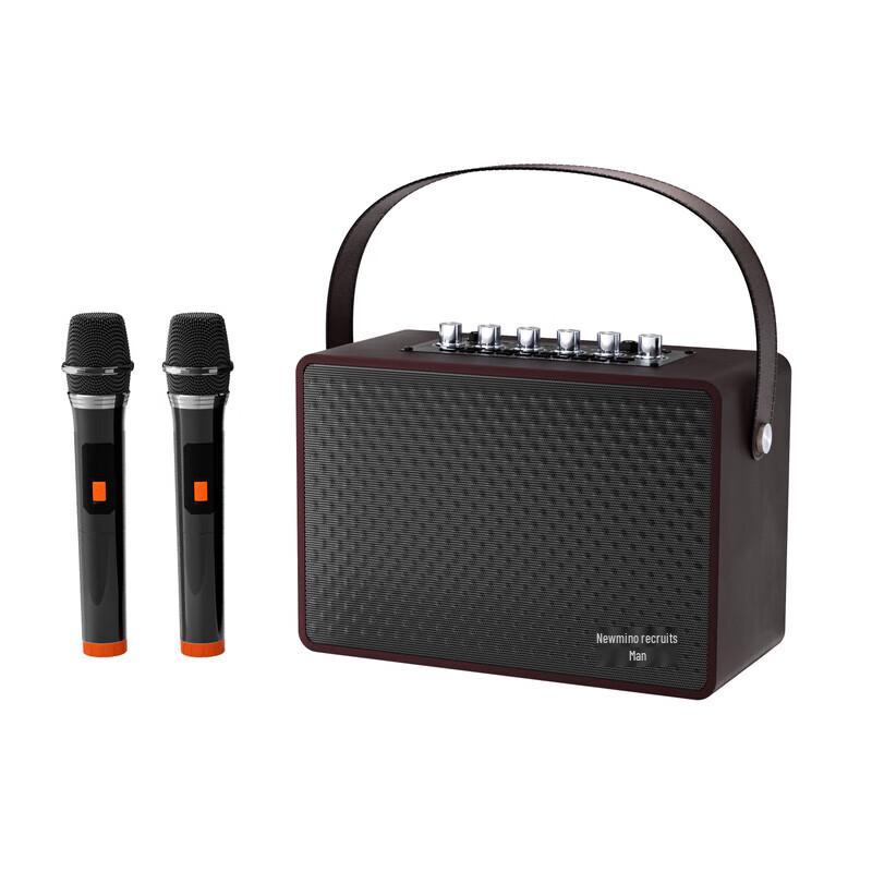 Newman K222 Portable Bluetooth Karaoke Speaker