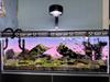RGB Acrylic Fish Tank Backdrop Colourful Gradient Luminous APP Control Aquarium Background Decoration Can Be Customised Size