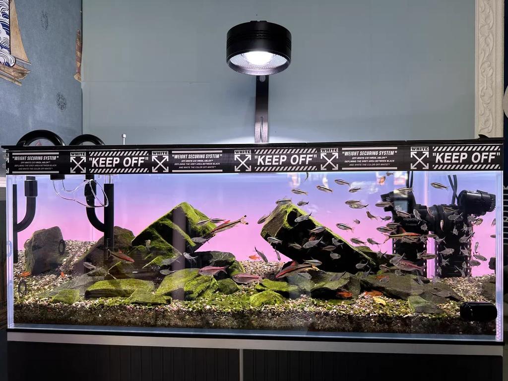 RGB Acrylic Fish Tank Backdrop Colourful Gradient Luminous APP Control Aquarium Background Decoration Can Be Customised Size