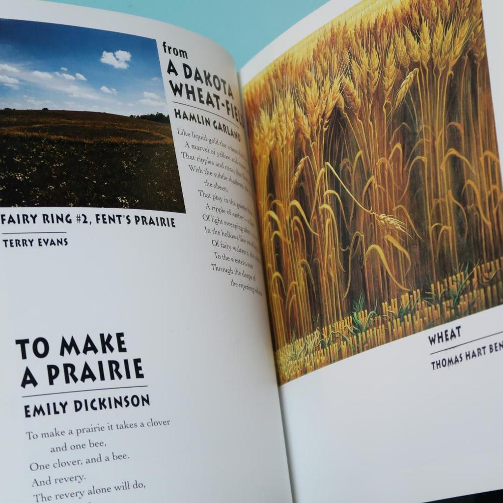 [USED] Foreign Books: Celebrate America In Poetry and Art