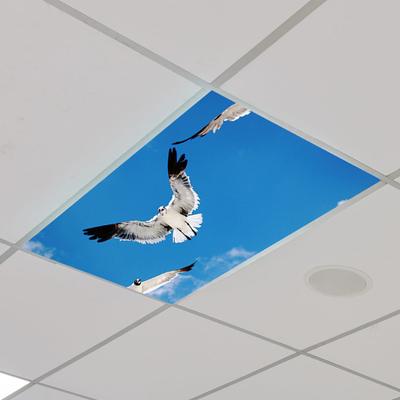 Abajur capa de luz refrescante natureza impressão luzes de teto luz magnética fluorescente filtros de luz de escritório em casa decoração da lâmpada de teto